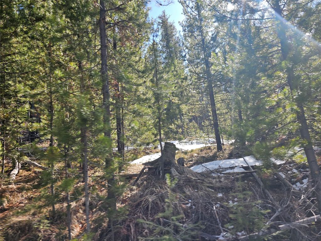 NHN Elk Horn Road, Helmville, MT 59843 photo 4