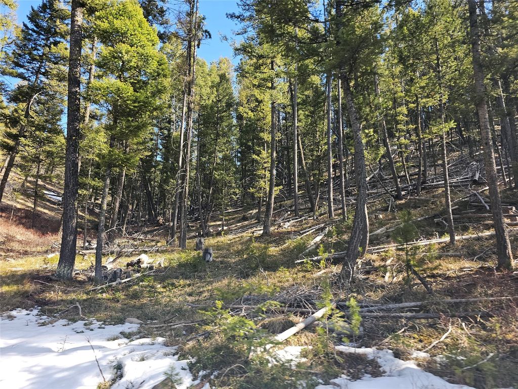 NHN Elk Horn Road, Helmville, MT 59843 photo 5