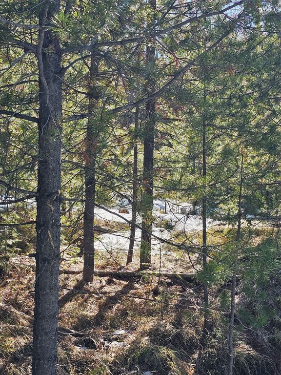 NHN Elk Horn Road, Helmville, MT 59843 photo 8