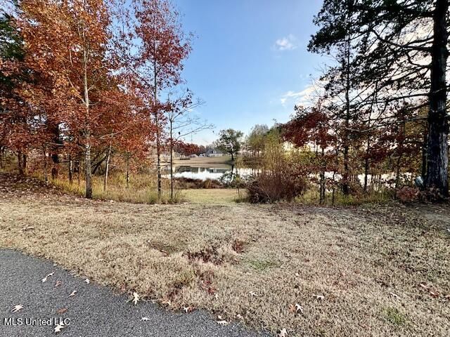 1123 Peggy Cove, Hernando, MS 38632