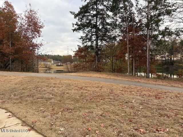 1123 Peggy Cove, Hernando, MS 38632