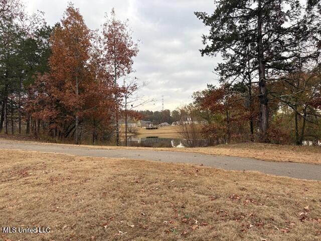 1123 Peggy Cove, Hernando, MS 38632