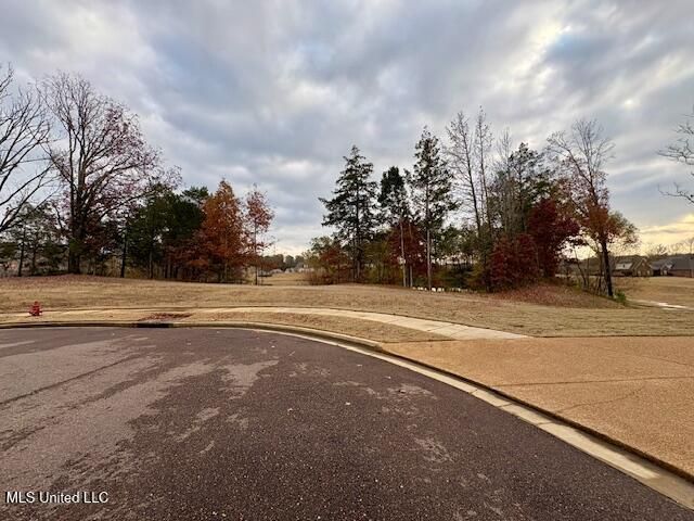 1123 Peggy Cove, Hernando, MS 38632