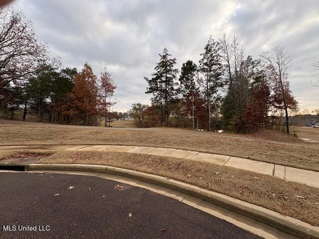 1123 Peggy Cove, Hernando, MS 38632