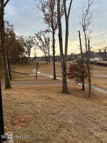 1123 Peggy Cove, Hernando, MS 38632