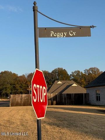 1123 Peggy Cove, Hernando, MS 38632