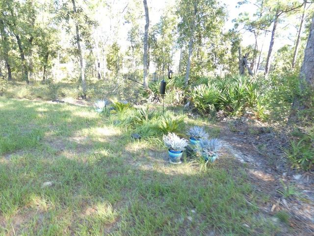 11397 LATCHWOOD AVENUE, Weeki Wachee, FL 34614