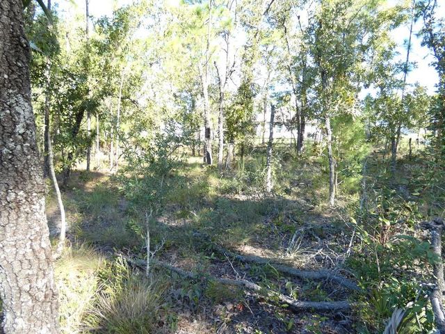 11397 LATCHWOOD AVENUE, Weeki Wachee, FL 34614