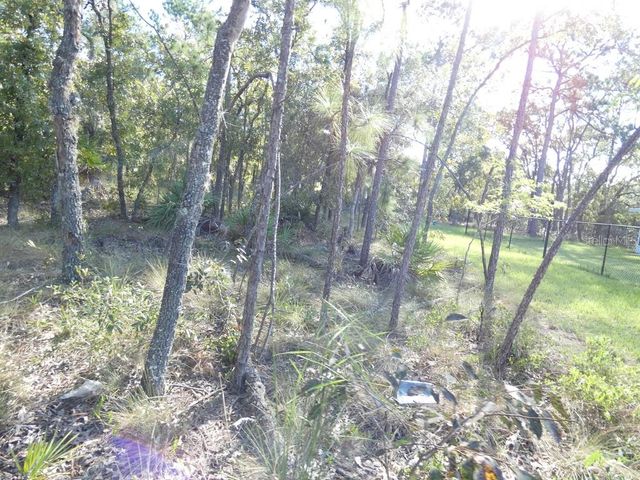 11397 LATCHWOOD AVENUE, Weeki Wachee, FL 34614