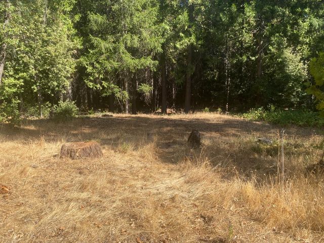 16772 New York House Rd, Brownsville, CA 95919