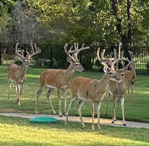 7545 Colton Lane, Pilot Point, TX 76258