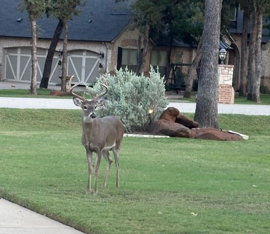 7545 Colton Lane, Pilot Point, TX 76258