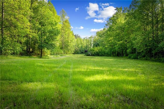 460 Wikle Drive, Ellijay, GA 30540