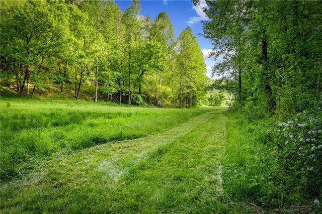 460 Wikle Drive, Ellijay, GA 30540