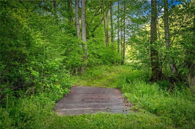 460 Wikle Drive, Ellijay, GA 30540