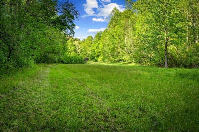 460 Wikle Drive, Ellijay, GA 30540