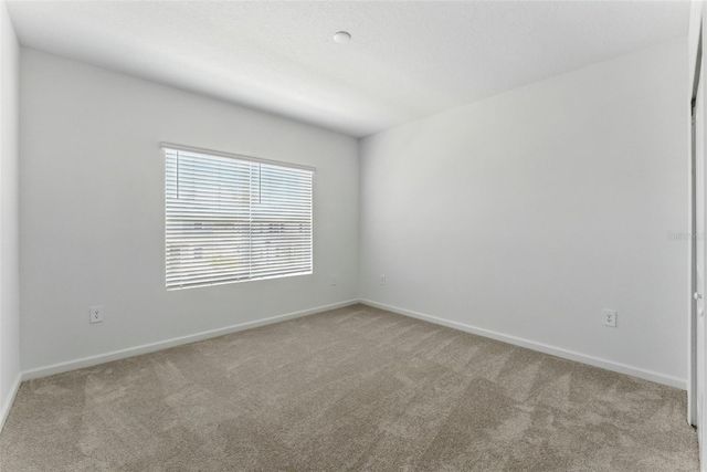 2301 WHITE BUFFALO STREET, Apopka, FL 32703