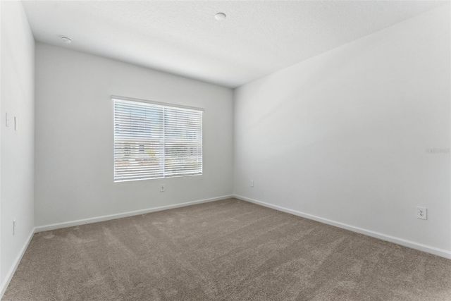 2301 WHITE BUFFALO STREET, Apopka, FL 32703