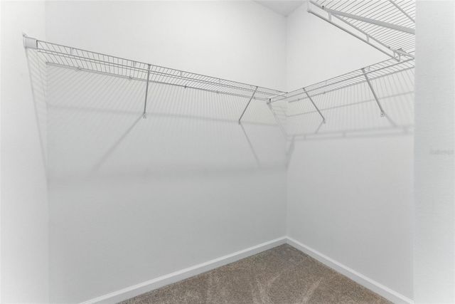 2301 WHITE BUFFALO STREET, Apopka, FL 32703