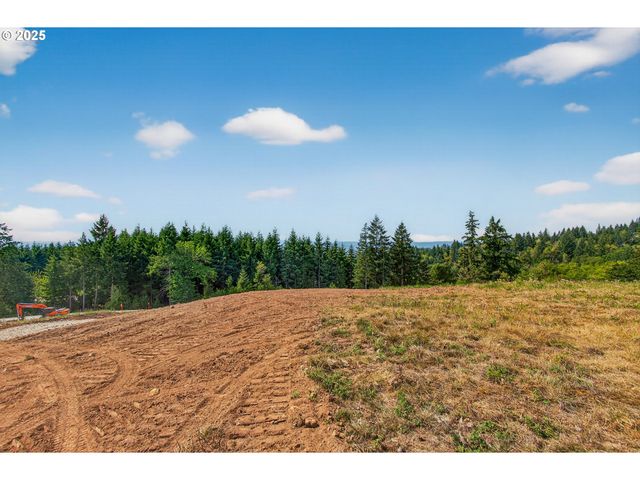 207 Jordan View Dr, Woodland, WA 98674
