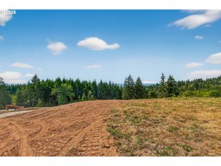 207 Jordan View Dr, Woodland, WA 98674
