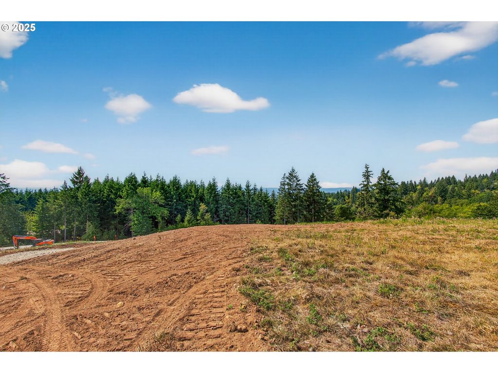 207 Jordan View Dr, Woodland, WA 98674