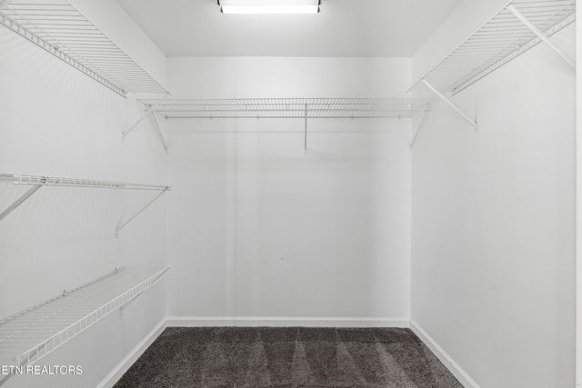 1206 W Parkway Ave, Knoxville, TN 37912