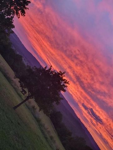 552 Deer Meadows Lane, Yellville, AR 72687