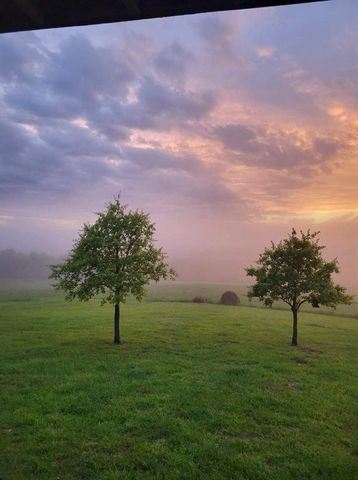 552 Deer Meadows Lane, Yellville, AR 72687