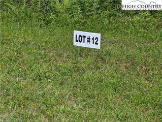 Lot 12 Briarwood Lane, Sparta, NC 28675
