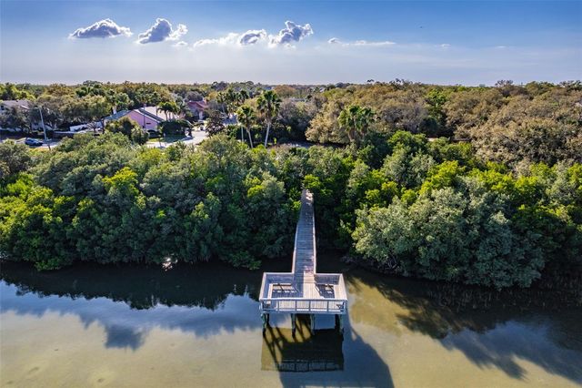 3019 BAYSHORE POINTE DRIVE, Tampa, FL 33611