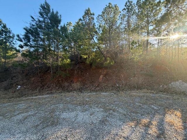 Lot 181 Keo Kea CT, Bastrop, TX 78602