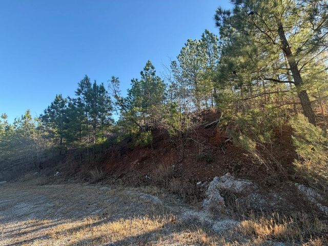 Lot 181 Keo Kea CT, Bastrop, TX 78602