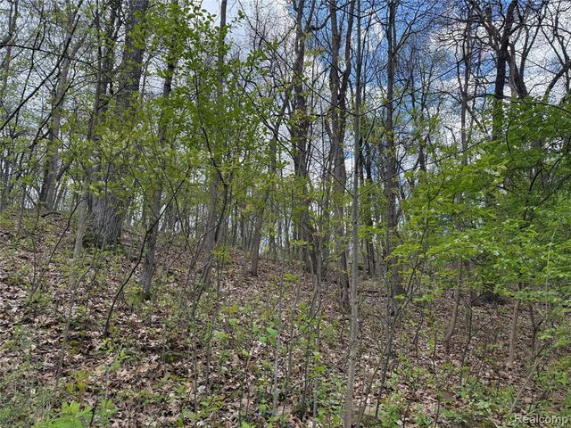 Lot 25 Hidden Ridge Trail, Fenton, MI 48430