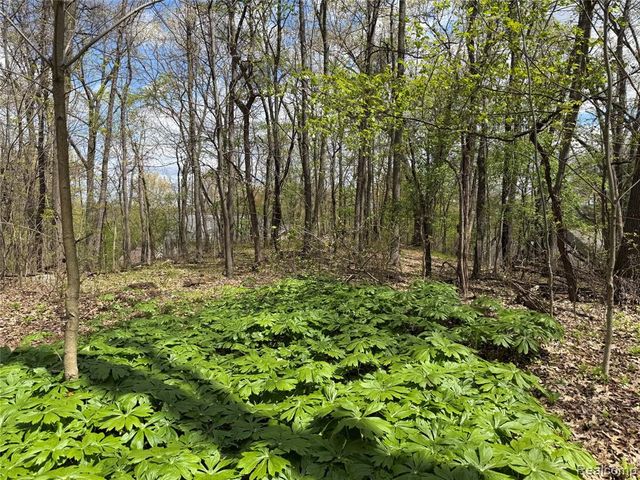 Lot 25 Hidden Ridge Trail, Fenton, MI 48430