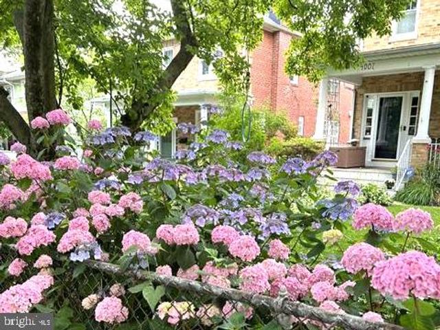 4007 FESSENDEN ST NW, Washington, DC 20016