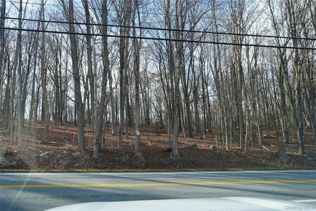 Rt-301, Carmel, NY 10512