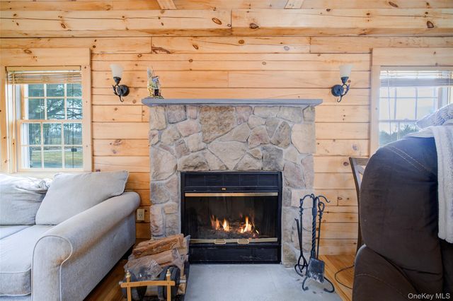 527 Mount Hope Road TR65, Swan Lake, NY 12783