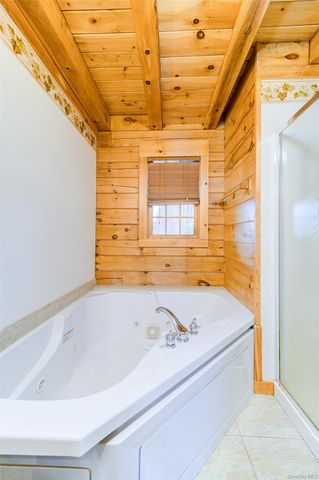 527 Mount Hope Road TR65, Swan Lake, NY 12783