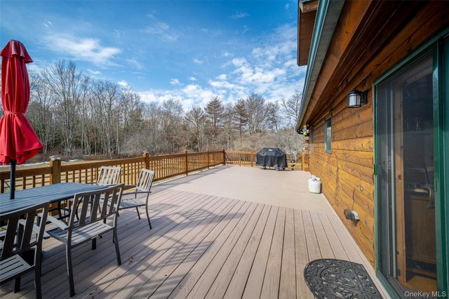 527 Mount Hope Road TR65, Swan Lake, NY 12783