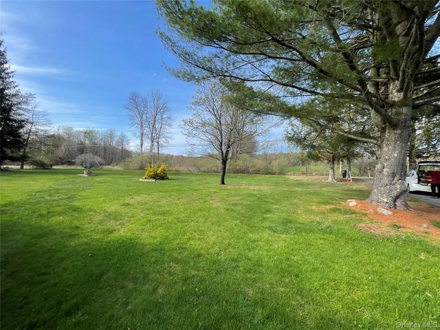 527 Mount Hope Road TR65, Swan Lake, NY 12783