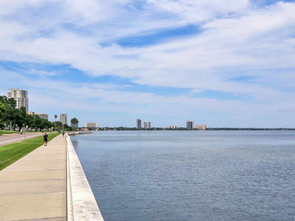 Image 46 of property listing at 4141 BAYSHORE BOULEVARD 505, Tampa, FL 33611