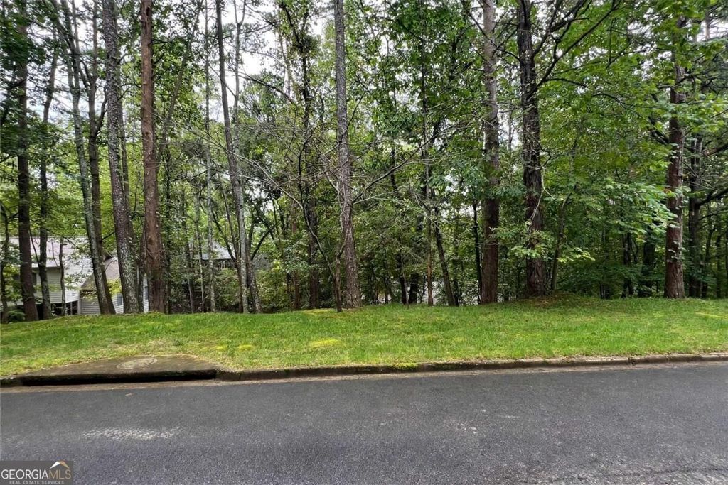 360 Spyglass Bluff Drive, Johns Creek, GA 30022 — photo 2