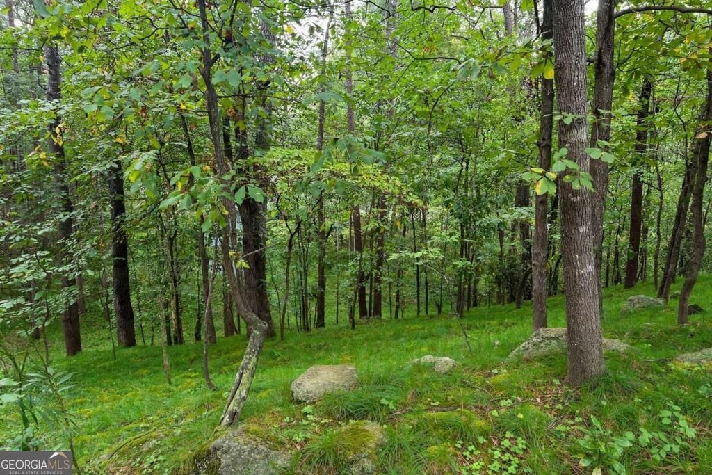 360 Spyglass Bluff Drive, Johns Creek, GA 30022 — photo 3
