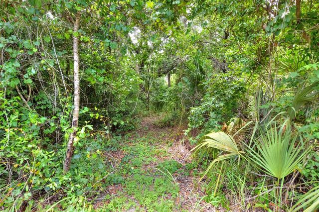 600 THOMPSON ROAD, Lithia, FL 33547