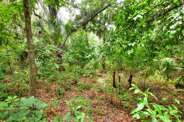 600 THOMPSON ROAD, Lithia, FL 33547
