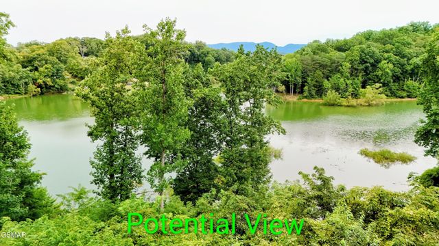 11 Sanctuary Shores Way, Sevierville, TN 37876