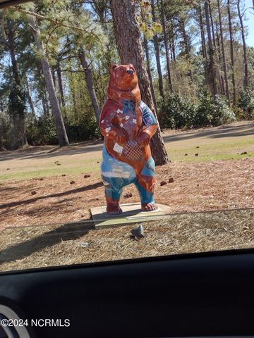 1731 Caracara Drive, New Bern, NC 28560