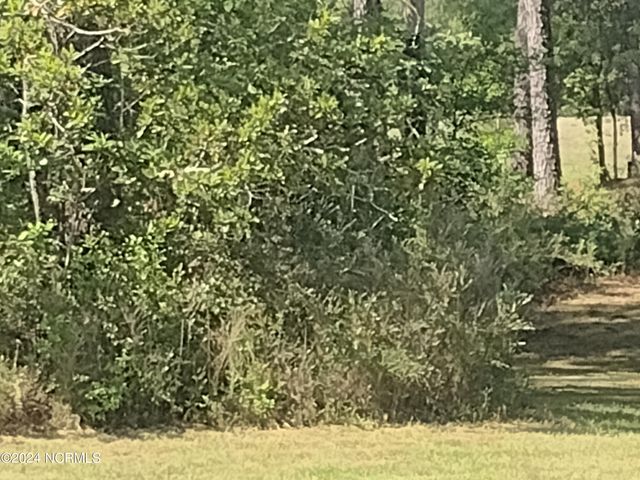 1731 Caracara Drive, New Bern, NC 28560