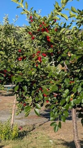 3510 Small Court, Klamath Falls, OR 97603